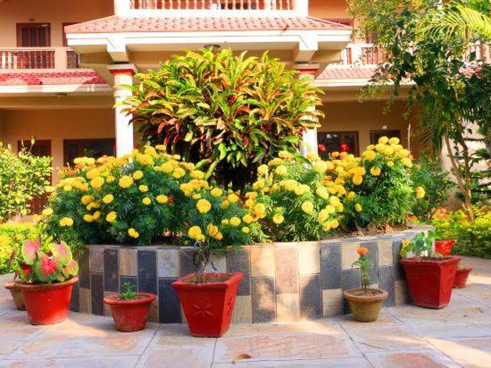 Hotel Royal Safari Chitwan Eksteriør billede