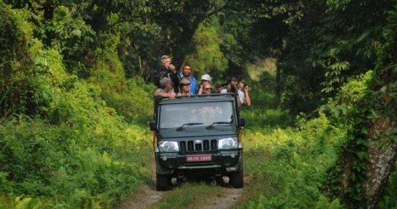 Hotel Royal Safari Chitwan Eksteriør billede